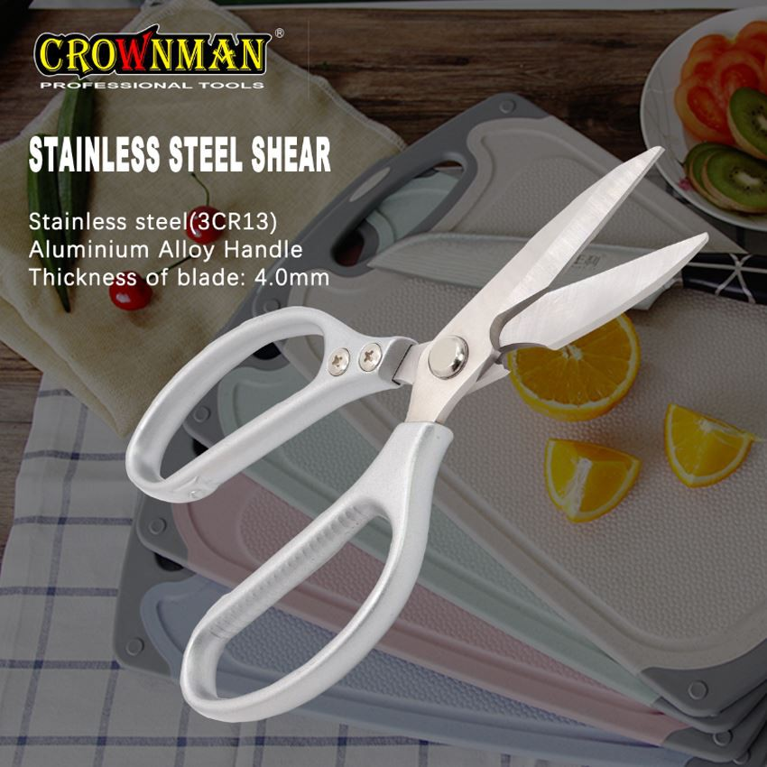 Stainless Steel Shear (1)