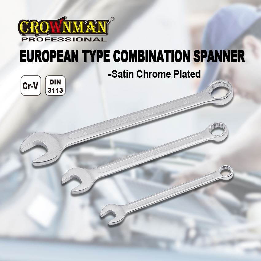 European Type Combination Spanner (1)